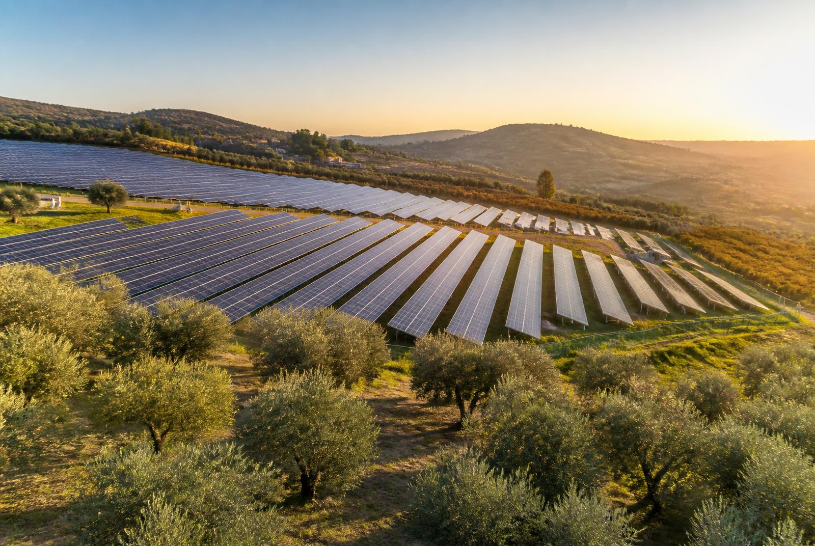Fotovoltaico agricolo e a terra